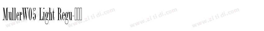 MullerW05 Light Regu字体转换